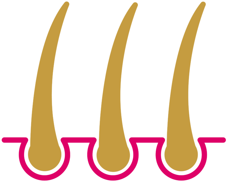 Biotin מקרל מועשר בפטל